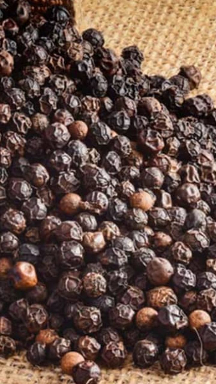 Black Pepper Benefits   Black Pepper 1 