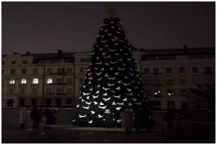 Christmas Tree Ukraine