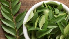 Curry Leaves Health Benefits: 6 Reasons Why You Must Add Kadi Patta to Your Winter Diet