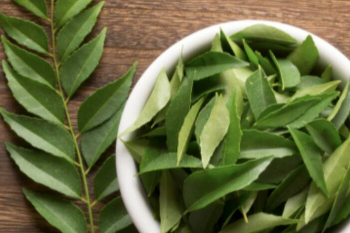 Curry Leaves Health Benefits