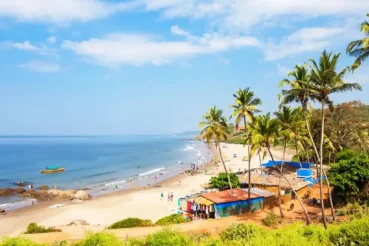Goa in December 2022: Five Festivals That Will Lure You to Tropical Paradise