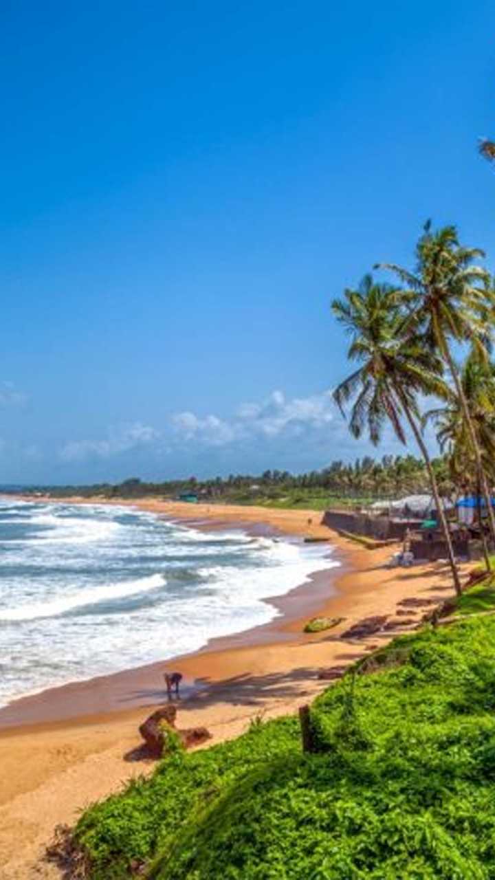Best Christmas Destinations In India For Magical Celebrations