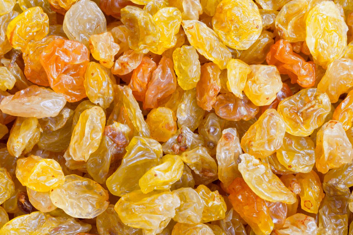 Manuka Water Benefits In Marathi मनुक्याचे पाणी प्यायल्याने शरीरात