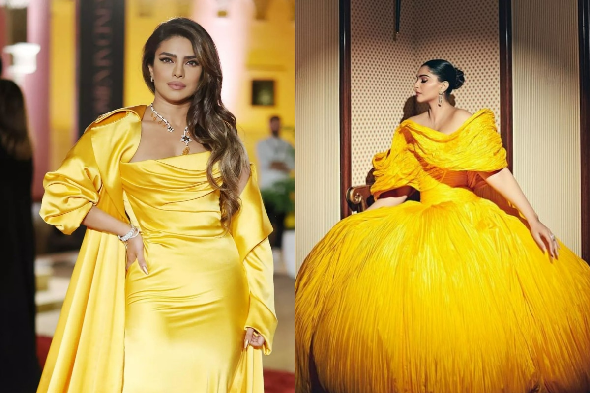 Priyanka Chopra's Dress at the Chasing Happiness Premiere | POPSUGAR Fashion