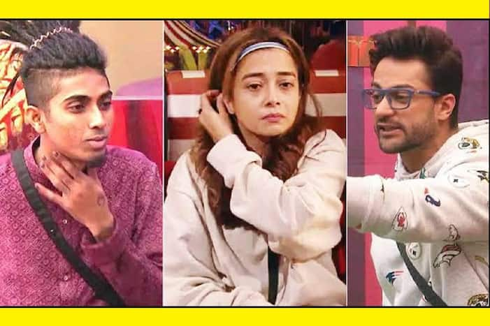 Bigg Boss 16, Shalin Bhanot, Tina Datta, Bigg Boss, bb16, Weekend Ka Vaar, Ankit Gupta, MC Stan aka Altaf, salman khan