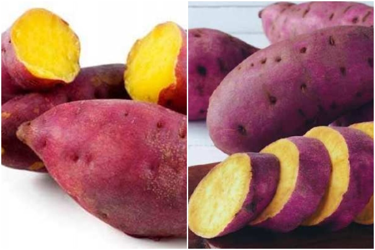 Sweet Potatoes Side Effects पोषक तत्वों से भरपूर है शकरकंद लेकिन इन
