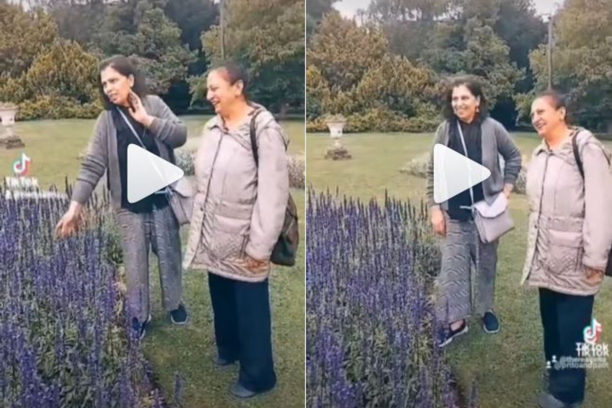 Punjabi Aunty Goes To Buy Lavender, Calls It Lafanter By Mistake. Viral  Reel Is Just Too Funny
