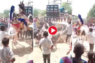 Viral Video: स्टंट करना चाह रहा था दूल्हा मगर घोड़ी ने कर दिया खेल, ऐसी पटकी लगी फिर दोबारा उठा ही नहीं- देखें वीडियो