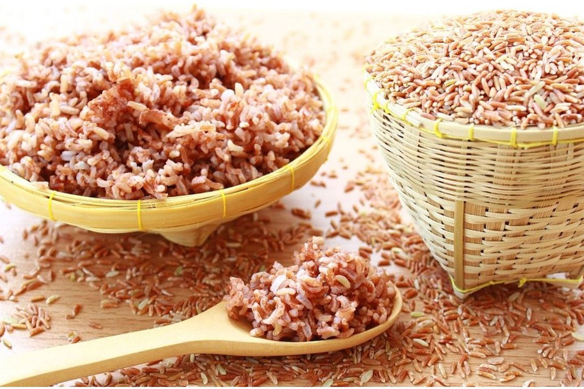 rice-used-for-industrial-purposes-and-not-used-for-human-consumption-to