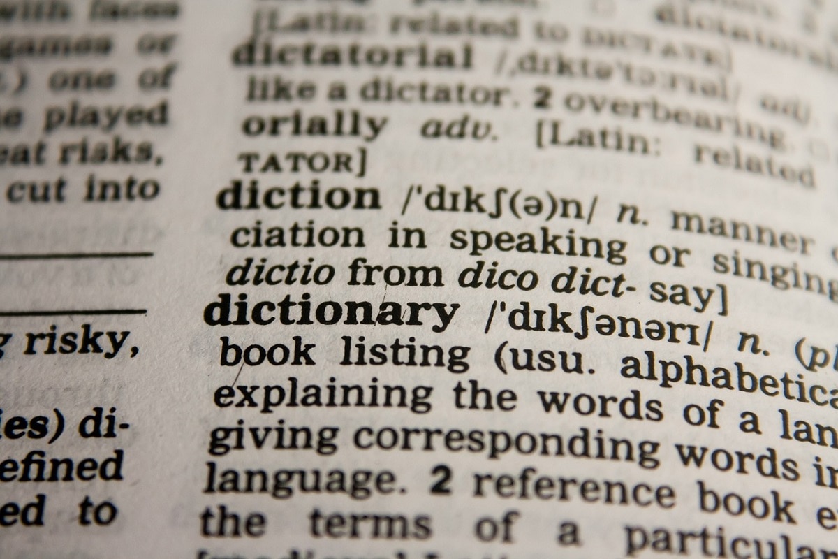 adult-who-lives-and-identifies-cambridge-dictionary-changes