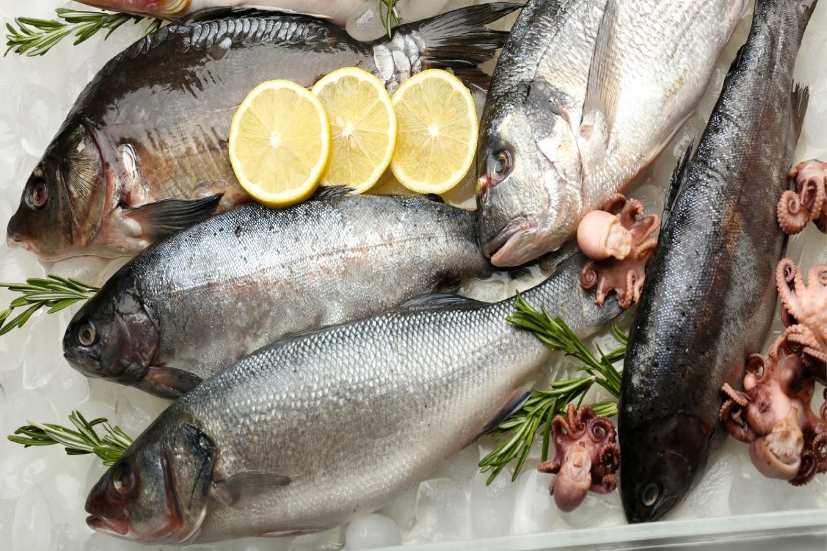 could-you-eat-fish-every-day-medguidance