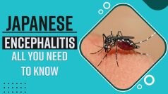 Japanese Encephalitis: Symptoms, Causes And Treatment, All You Need To Know – Watch Video