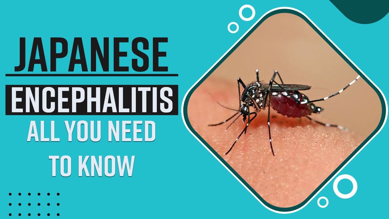 japanese-encephalitis-symptoms-causes-and-treatment-all-you-need-to