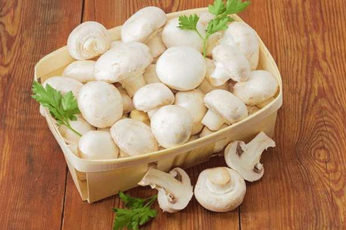 Mushroom Benefits: कड़कड़ाती हैं हड्डियां, मोटापे से हैं परेशान, मशरूम