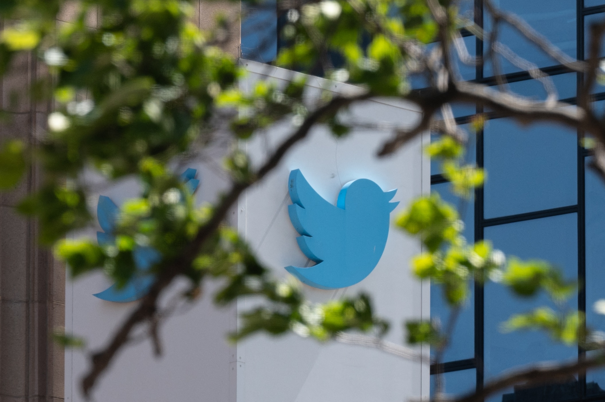 Twitter To Stop Offering Free Access To Its API From Feb 9, Paid Version to be Launched Soon