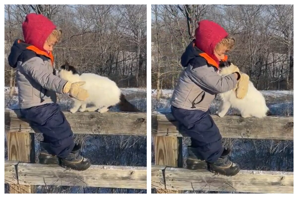 Viral Video Of Toddler And His Cat Sibling Hugging Tight Will Melt You