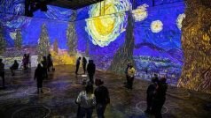 Van Gogh’s Immersive Exhibition Attracts Several In Mumbai, Next Stop at Delhi, Bengaluru | All Deets Here
