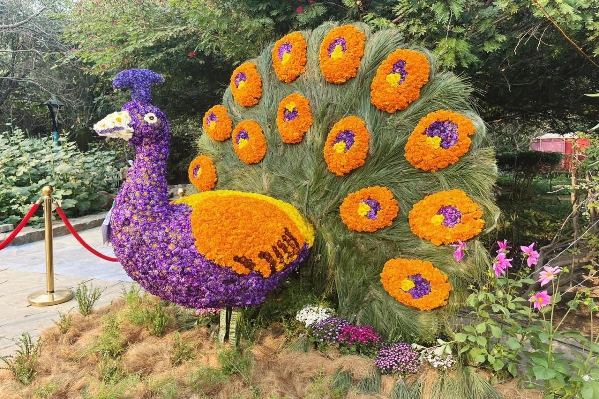 delhi tourism garden festival 2023