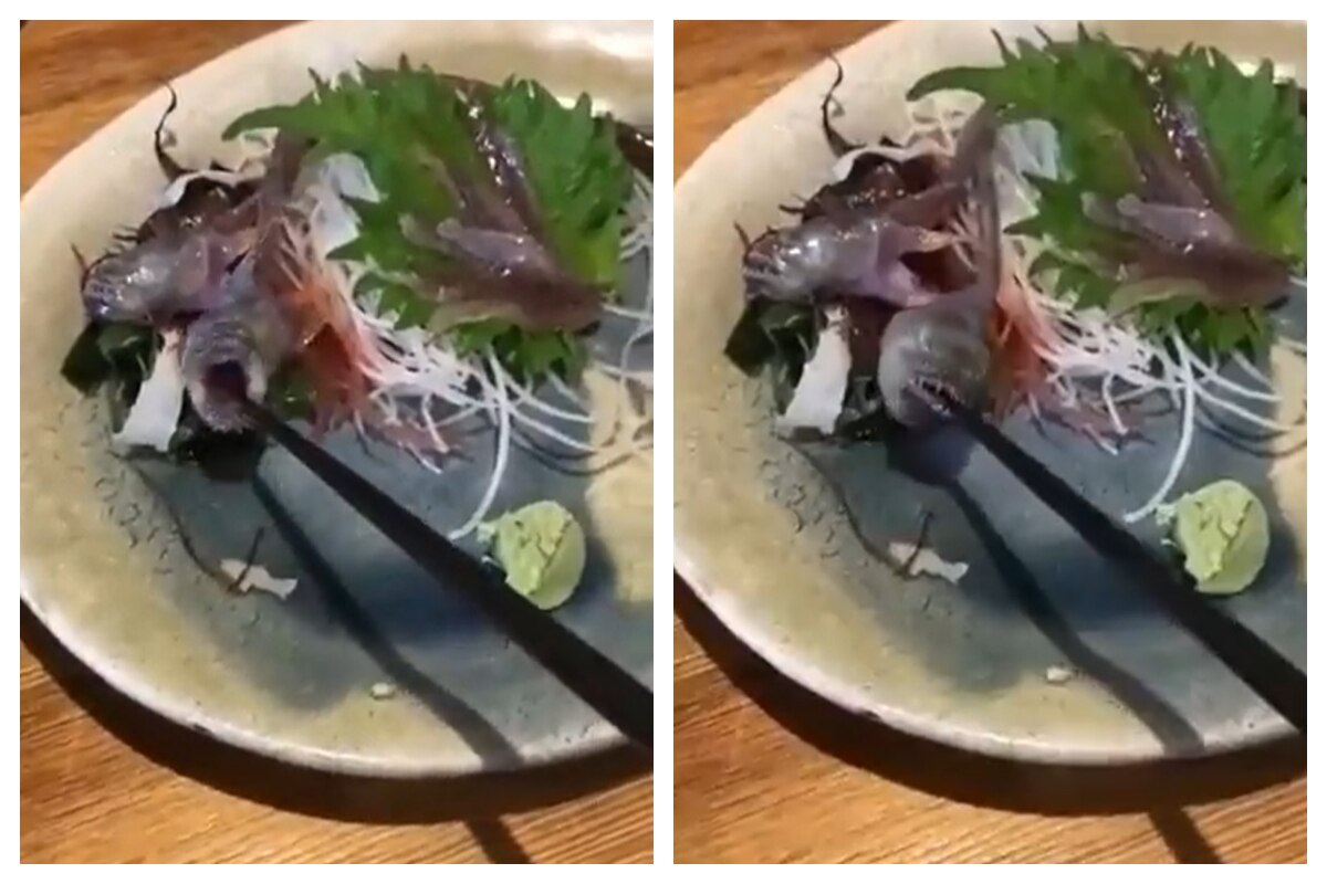Vengeance Of A Fish Customer Starts To Eat Fish With Chopstick It Bites