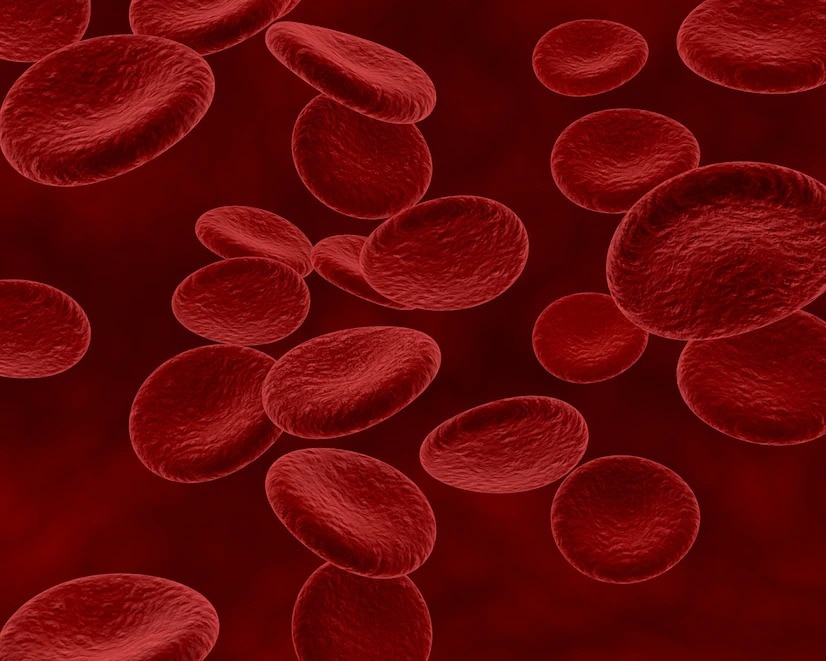 Health Budget 2023: What is Sickle Cell Anaemia? Why is There a Mission to Eradicate This by 2047?