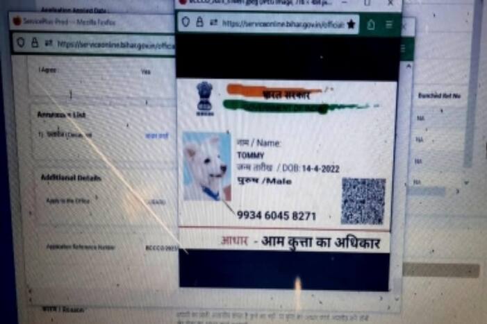 बिहार में जाति प्रमाण पत्र बनवाने के लिए 'टॉमी' नामक कुत्ते ने किया ऑनलाइन आवेदन!