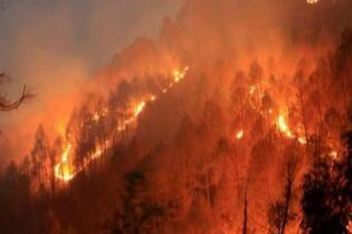 चिली के जंगलों में लगी भीषण आग, 13 लोगों की मौत; हजारों एकड़ में फैले वनों को नुकसान