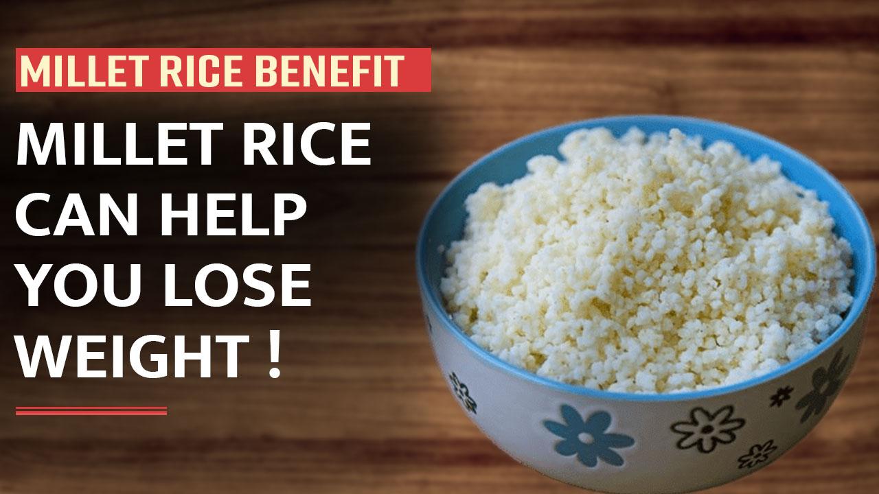 Millet Rice Benefits Want To Lose Weight Add Millet Rice In Your Diet 