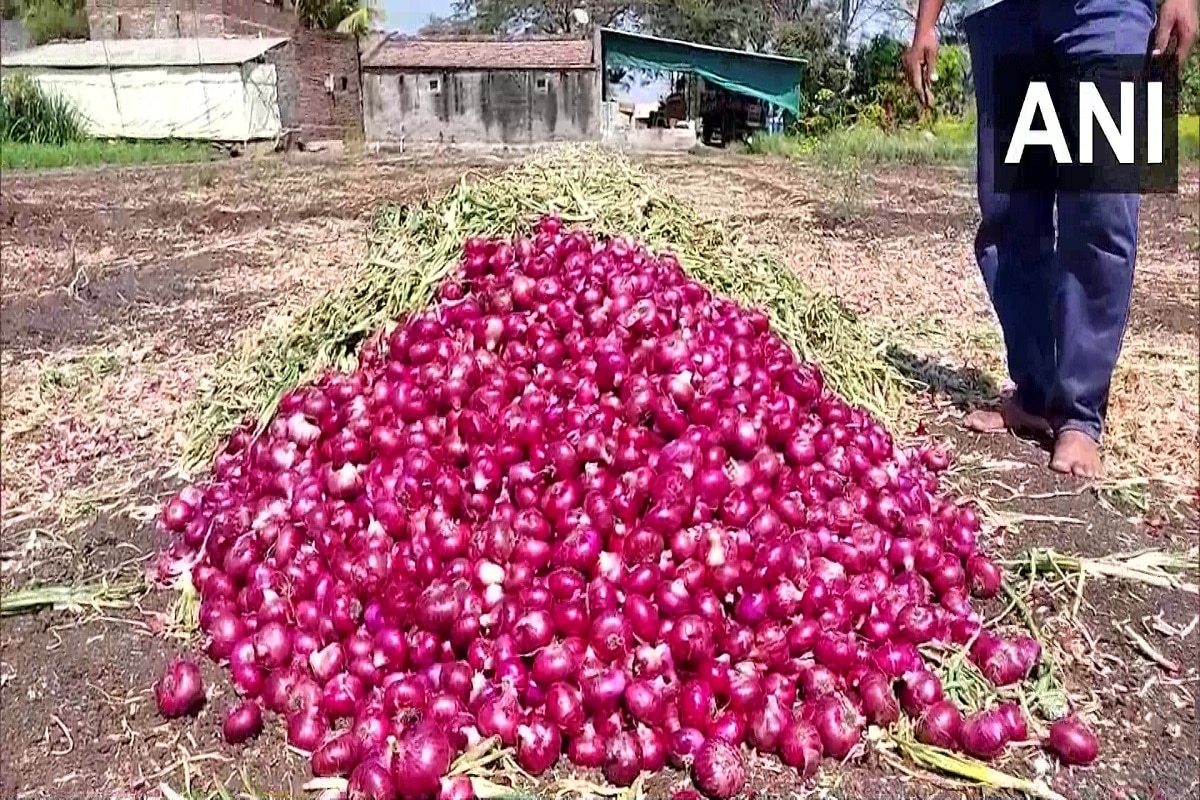 पाकिस्तान में 250 रुपये किलो प्याज, भारत में इतना सस्ता कि किसान कर रहे ...