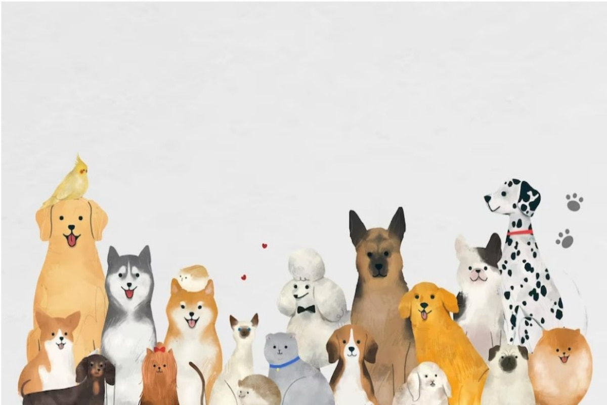 Noida Paw Parents Attention! Pet Registration Date Extended Till