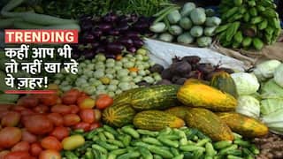 सूख गई थी सब्जी, शख्स ने केमिकल डालकर पलभर में कर दिया ताजा, वीडियो देख हैरान हो जाएंगे आप | Watch Video