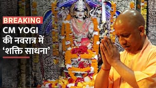 Navratri 2023 : CM Yogi Adityanath ने देवीपाटन मंदिर में की पूजा, गौशाला में गायों को खिलाया चारा - Watch Video
