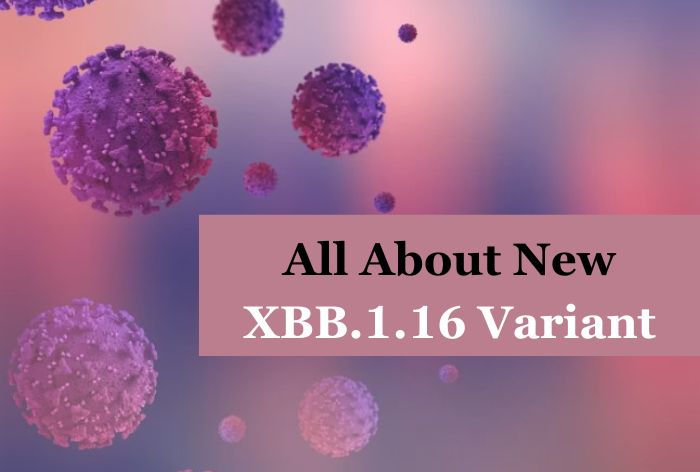 XBB.1.16 COVID Variant 101: Is It More Dangerous? Who Is More At Risk? All FAQs Answered