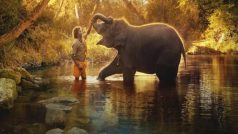 Oscar-Winning ‘The Elephant Whisperers’ Was Shot at THIS Beautiful Location In Tamil Nadu That Deserves A Visit