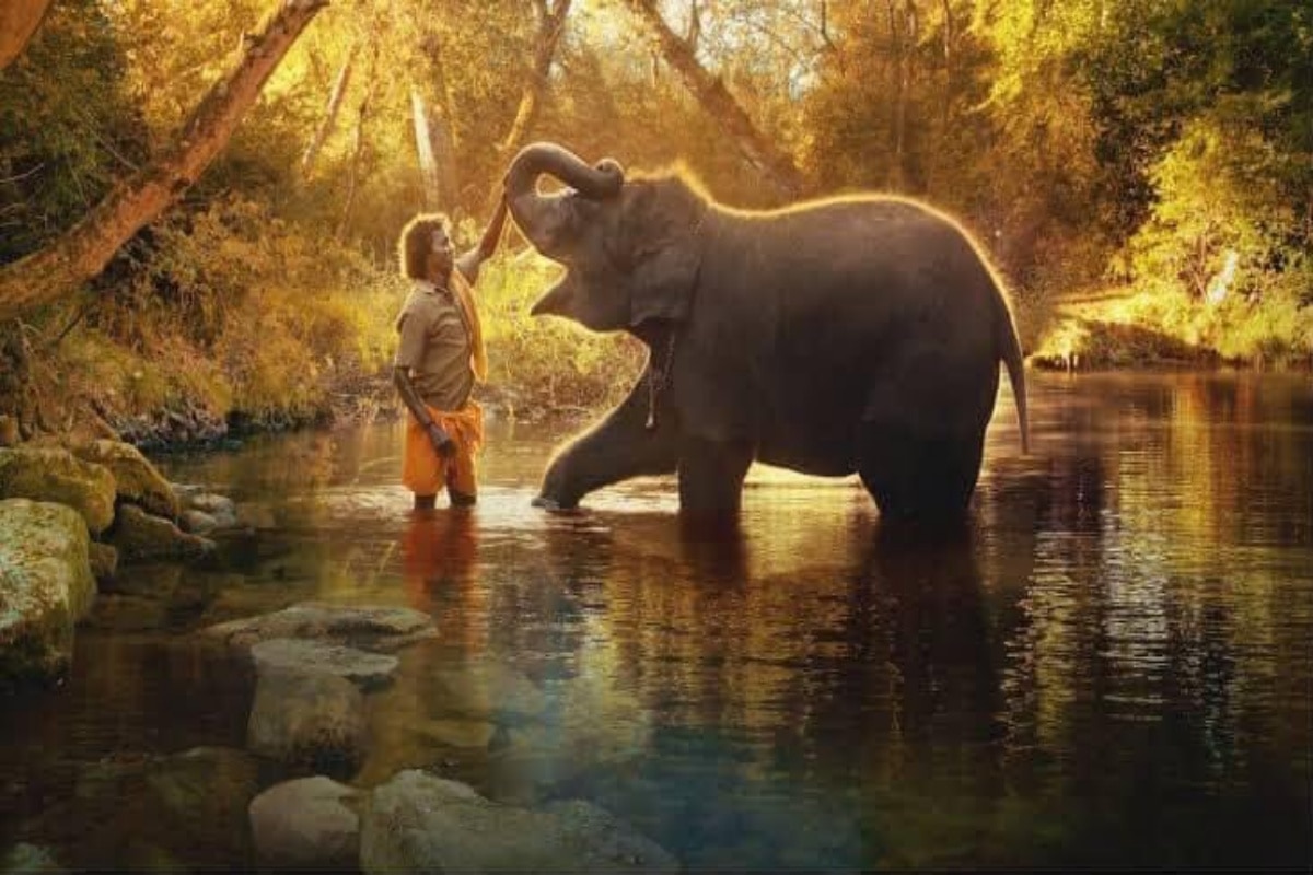 The Elephant Whisperers oscar winning documentry untold story The Silent Things No One Could Hear