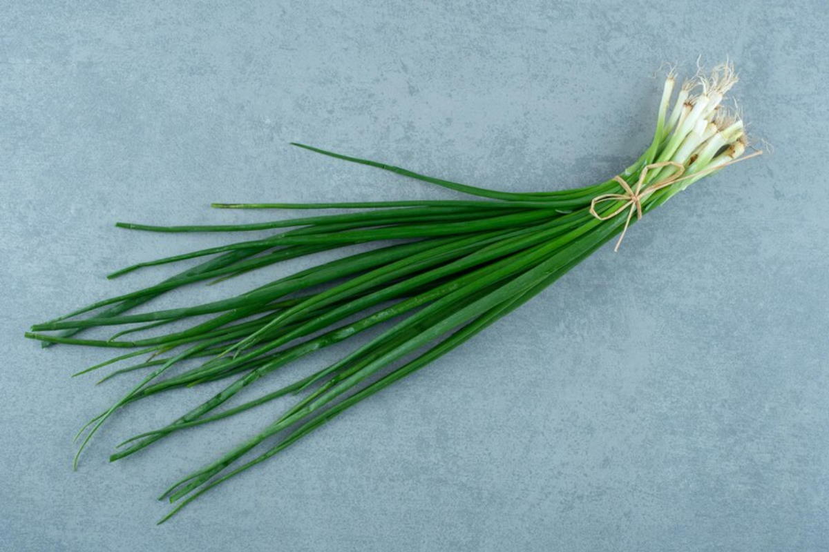 बीपी, डायबिटीज, कोलस्ट्राल के मरीजों के लिए फायेदमंद है इस चीज की