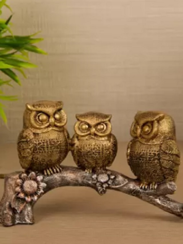 वास्तु टिप्स घर की इस दिशा में रखें उल्लू, होगा धन लाभ