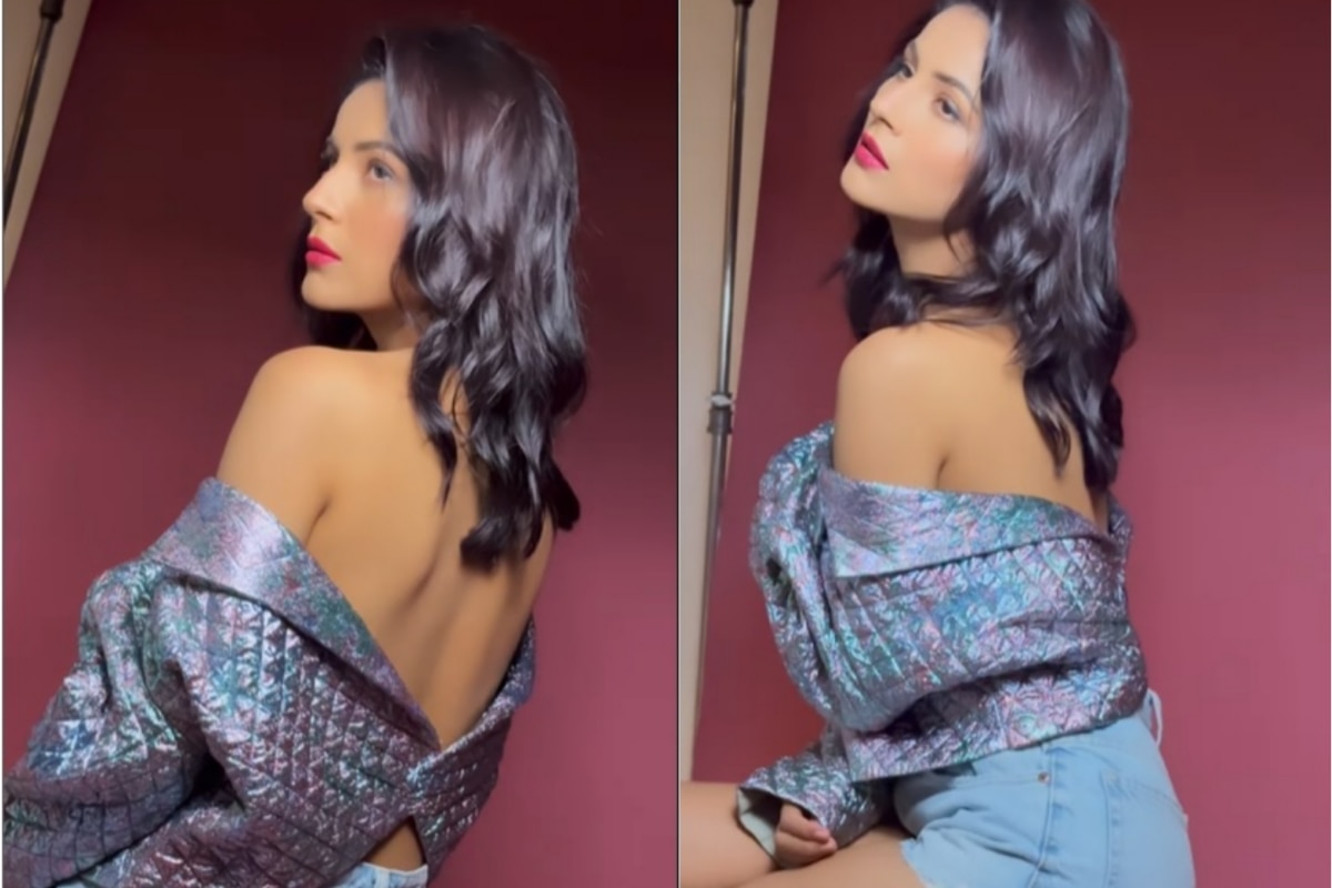 Shehnaaz Gill wird schwül und sexy in einer Jeans-Shorts mit silberner Jacke, als sie ein heißes Video online veröffentlicht – Ansehen