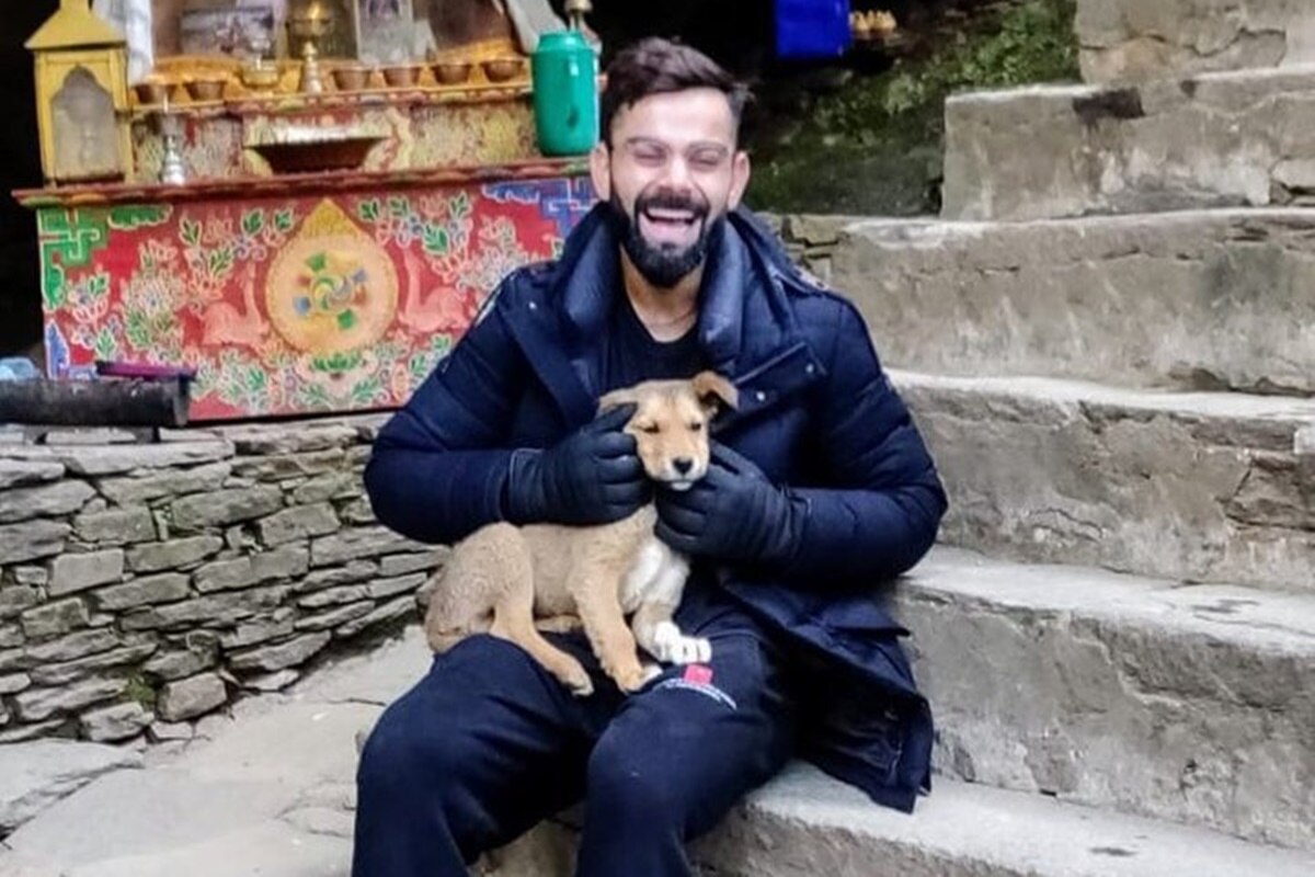 Virat Kohli Cuddles Pet; Shares VIRAL Picture Ahead of IndAus 4th Test