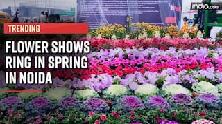 Noida Annual Flower Show: More Than 41 Species Of Exotic And Rare Flowers Are On Display Here