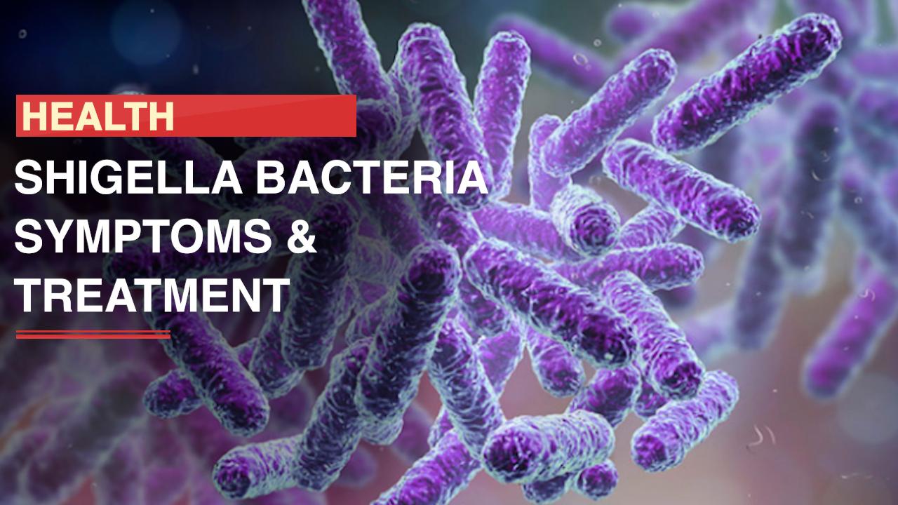 Shigella Bacteria Creates Serious Threat In US, Symptoms, Causes And