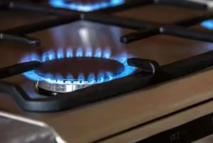 Government Approves New Gas Pricing Formula, To Cap Prices Of Piped Cooking Gas