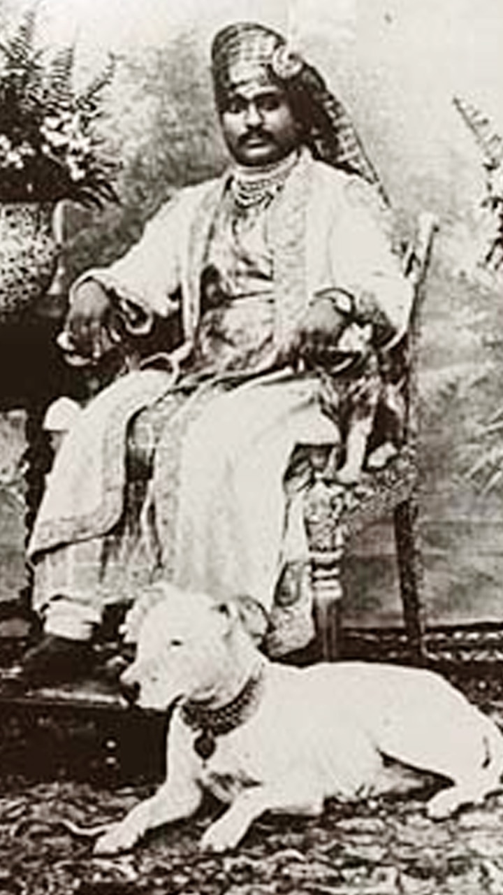 10 Most Bizarre Things India’s Royal Families Spent Their Money On
