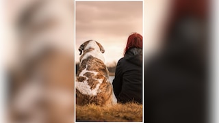 5 Easy Tips To Protect Your Pet From Heat