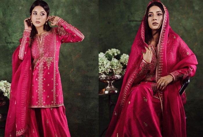 Shehnaaz Gill Eid ka Joda is Feast for The Eyes as She Dons Gorgeous Pink  Sharara Set Worth Rs 69k- See PICS