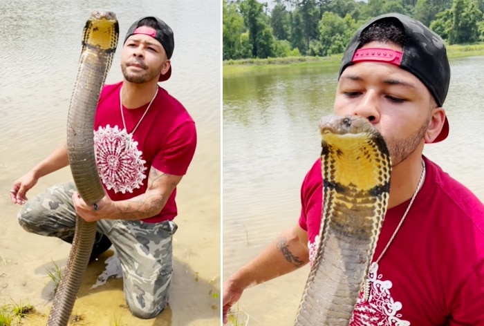 viral-video-of-man-kissing-king-cobra-on-head-stuns-internet