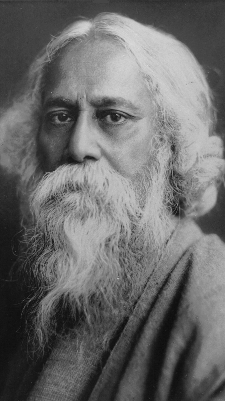 Rabindranath Tagore visual data 7