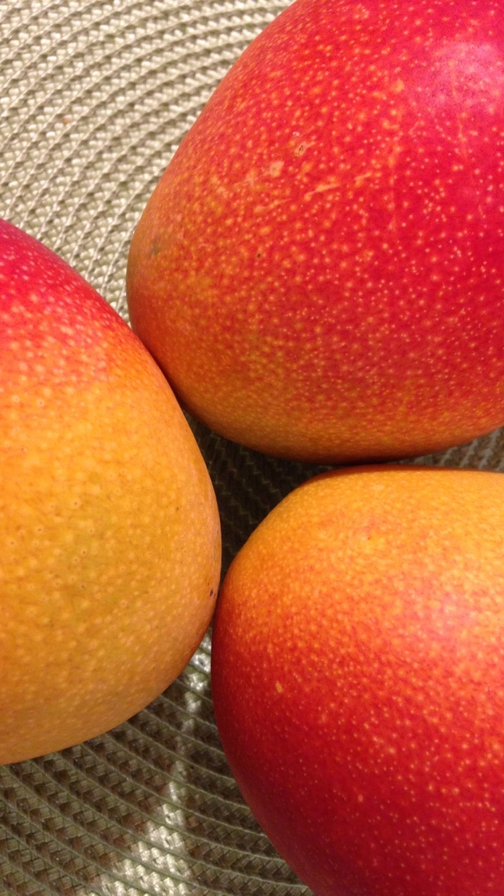most-expensive-mango-19