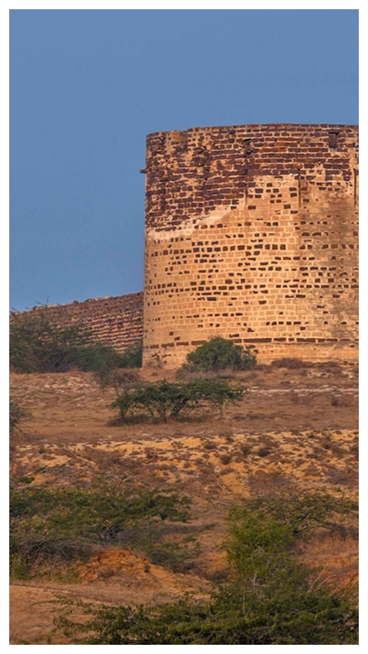 Lakhpat town, which has been abandoned for almost 200 years after a massive earthquake in 1819, is located in Gujarat's Kachchh district. It has 7 km of fort walls forming a boundary and offers mesmerizing views of Rann. With a clear sky, the place is also a perfect destination for stargazers. (Photo: gujarattourism.com)