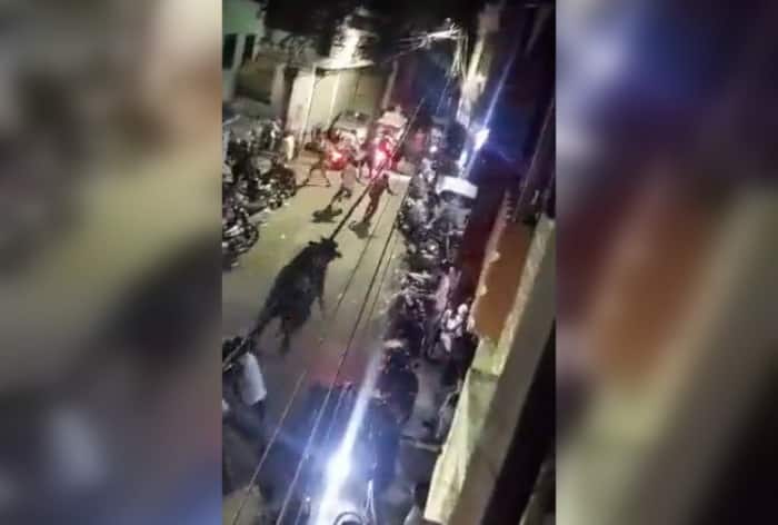 Caught-On-Cam: Mayhem As Buffalo Brought For Bakrid Sacrifice Escapes From Truck In UP's Moradabad, Video Viral