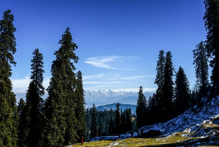 Hatu Peak: The Next Big Thing in Himachal Pradesh Tourism